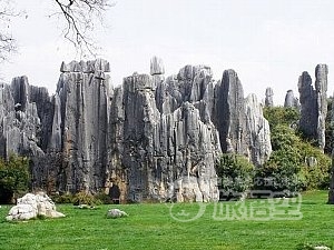 世界遺産 石林 と 西山 龍門 1日 日帰り ツアー