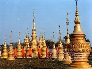 打洛森林公園 