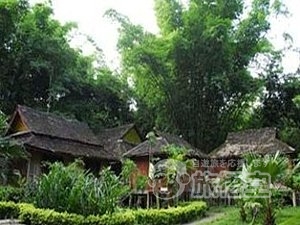 打洛森林公園 