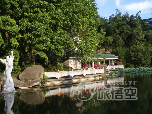 アモイ園林植物園 厦門